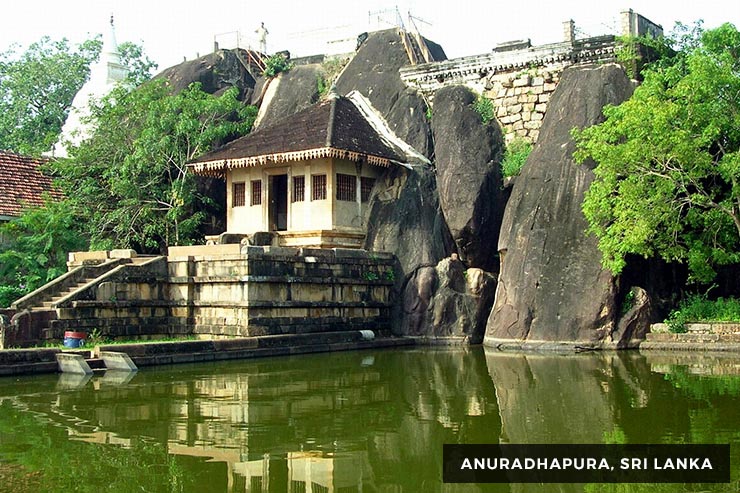 Wild Life Tour - 15 Days 14 Nights