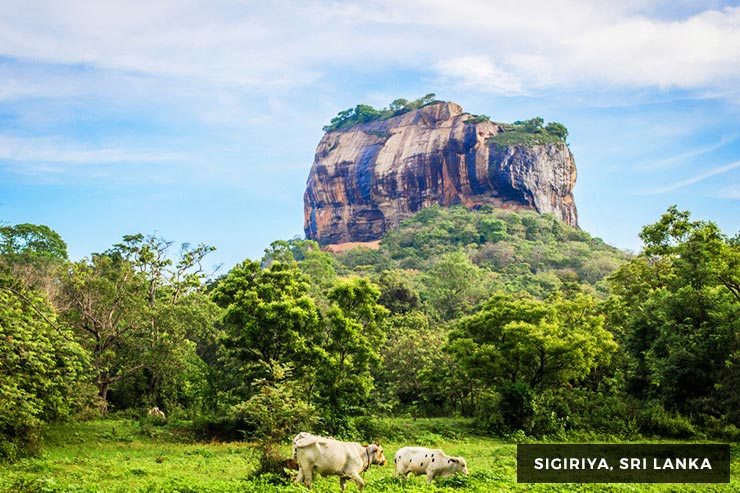 Wild Life Tour - 15 Days 14 Nights