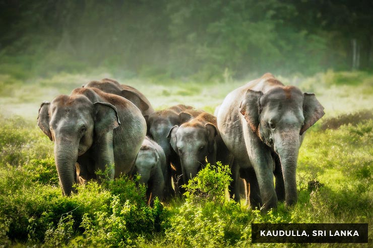 Wild Life Tour - 15 Days 14 Nights