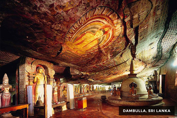 Wild Life Tour - 15 Days 14 Nights