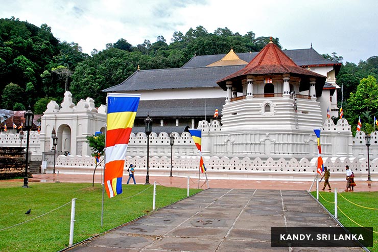 Wild Life Tour - 15 Days 14 Nights