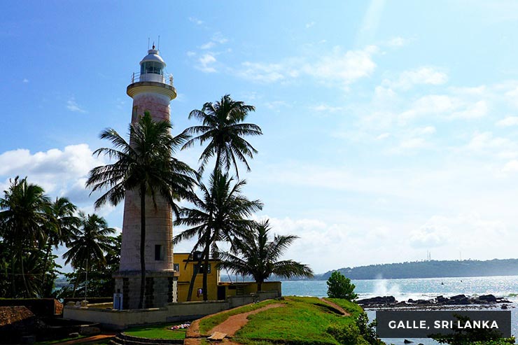 Wild Life Tour - 15 Days 14 Nights