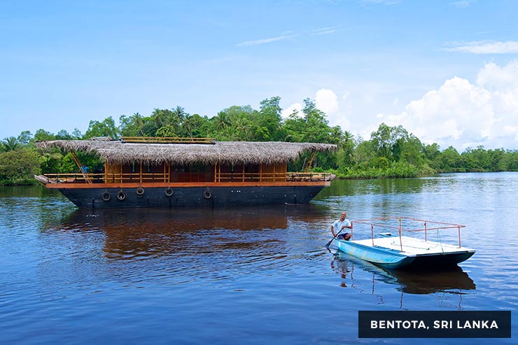 Wild Life Tour - 15 Days 14 Nights