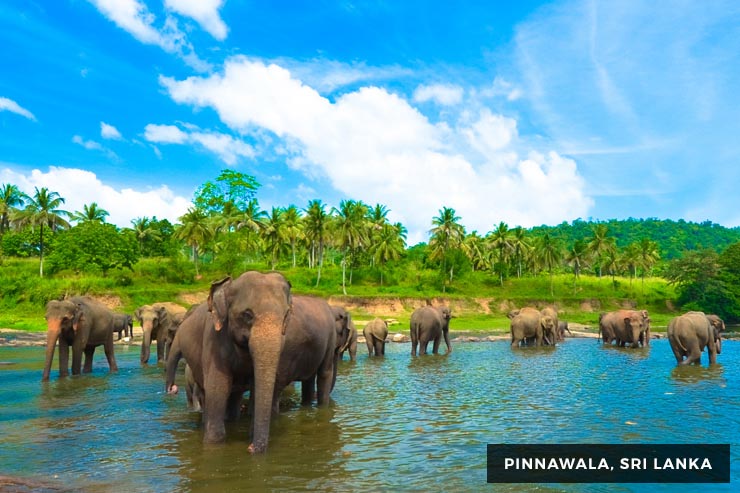 Culture And Heritage