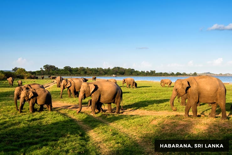 Culture And Heritage