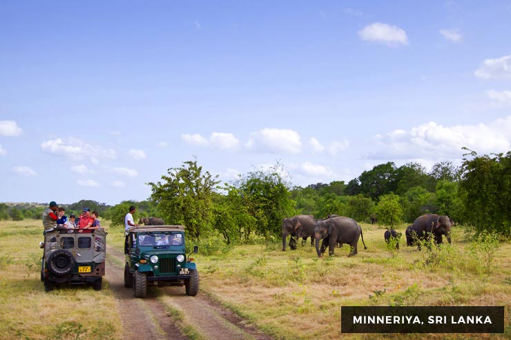 Culture And Heritage