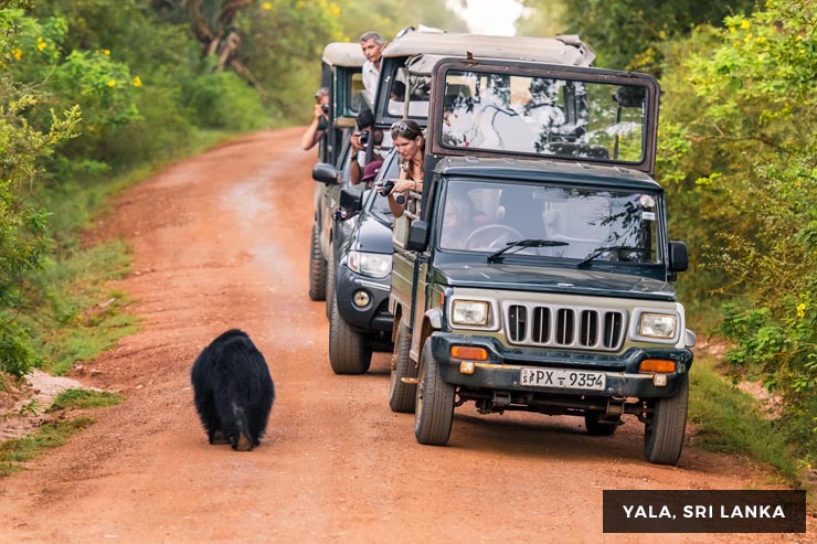 Culture And Heritage