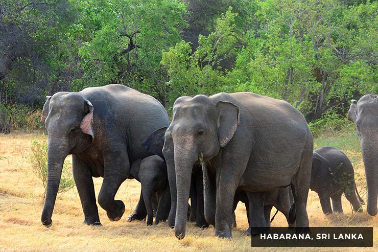 Culture And Heritage