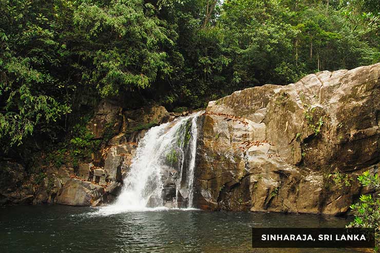 Culture And Heritage