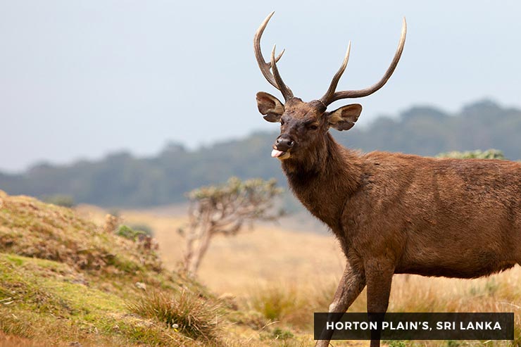 Culture And Heritage