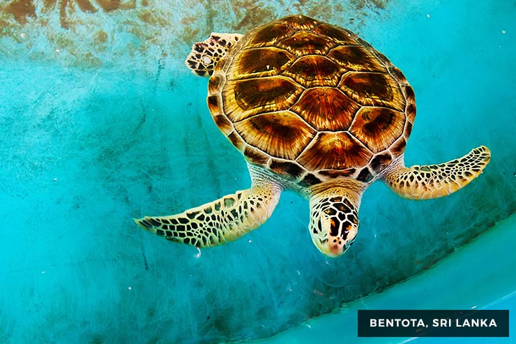 Culture And Heritage