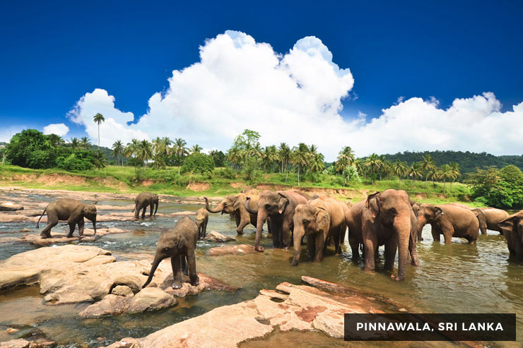 Culture And Heritage