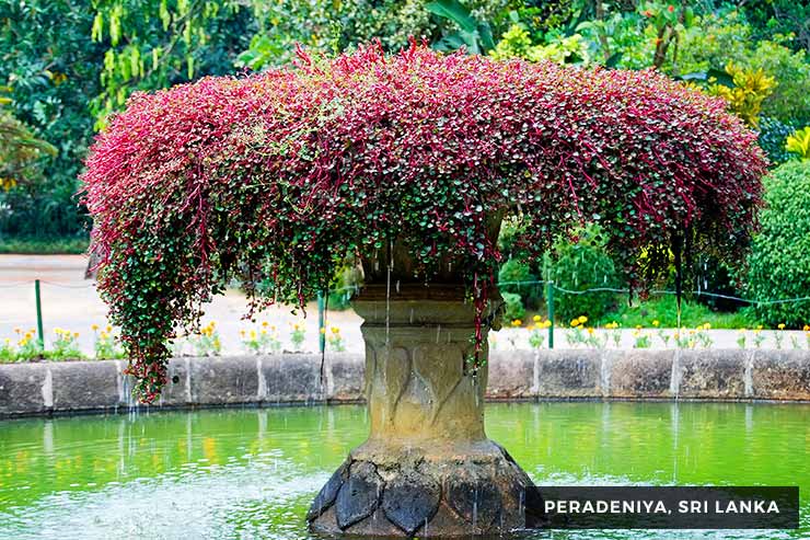 Culture And Heritage