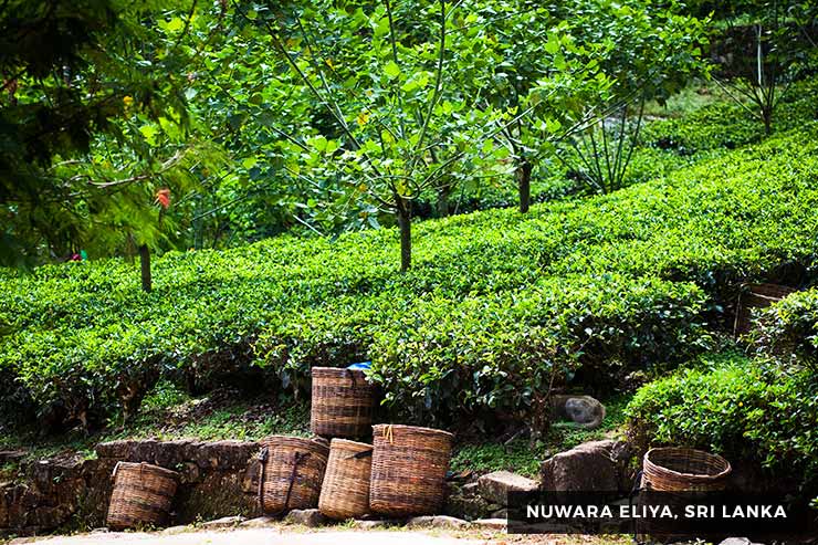 Culture And Heritage