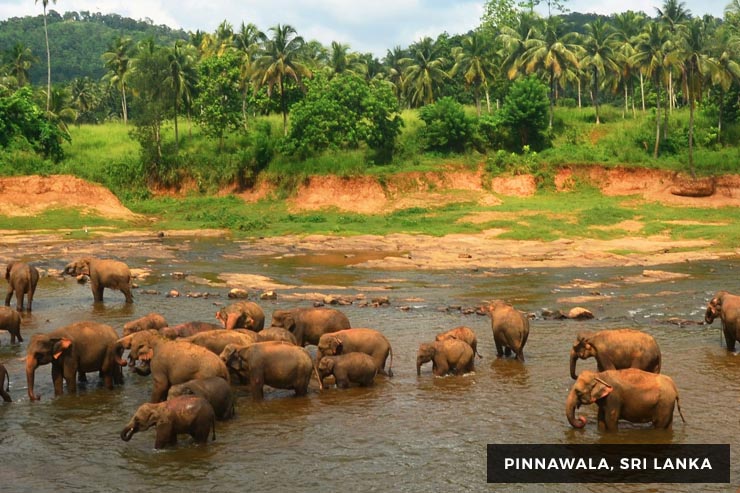 Culture And Heritage