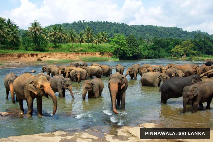 Culture And Heritage