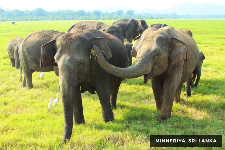 Culture And Heritage