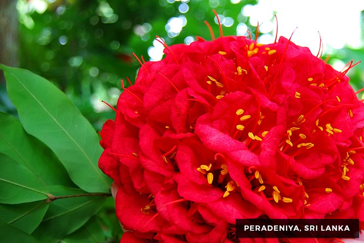 Culture And Heritage