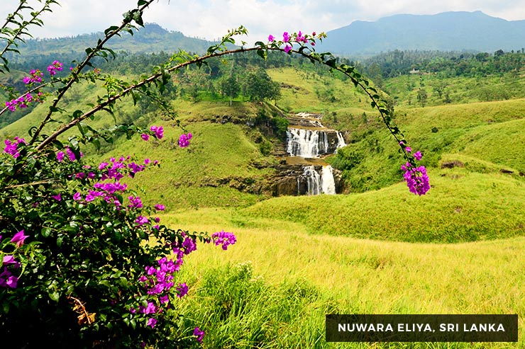 Culture And Heritage