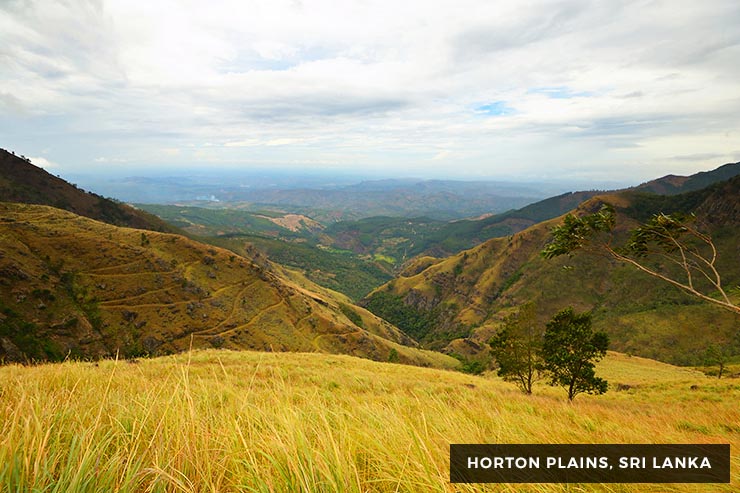 Culture And Heritage