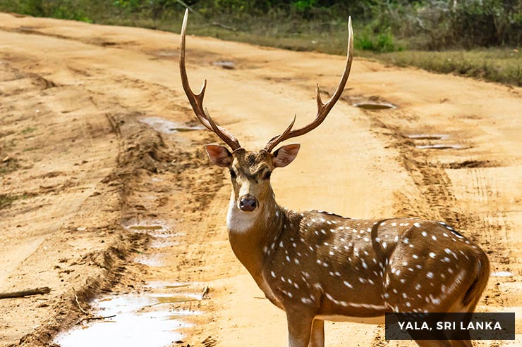 Culture And Heritage