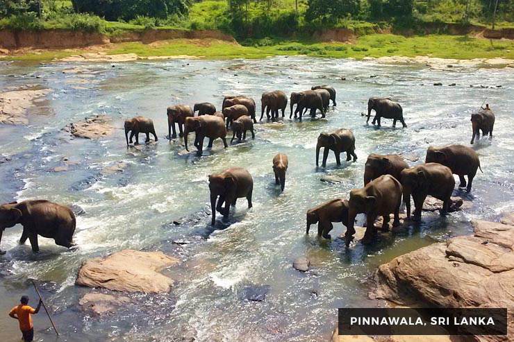 Culture And Heritage