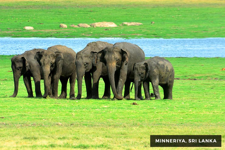 Culture And Heritage