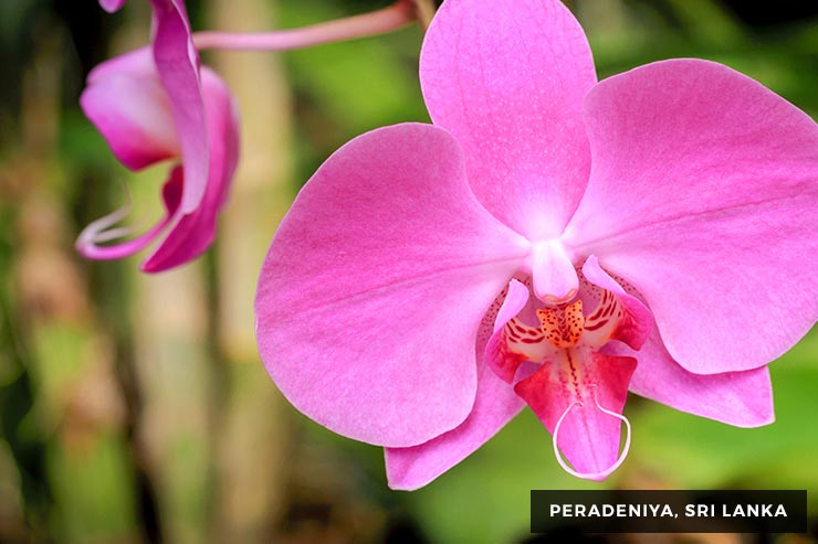 Culture And Heritage