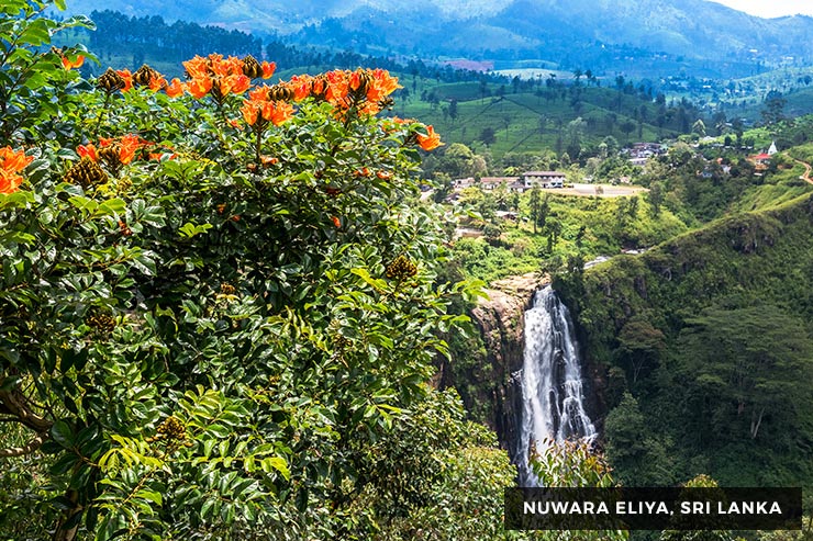 Culture And Heritage