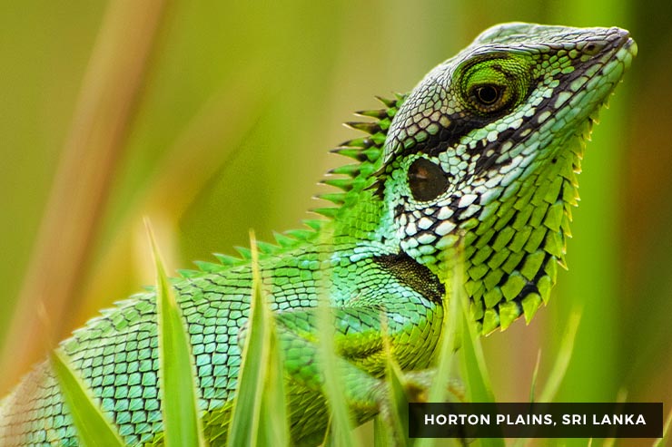 Culture And Heritage