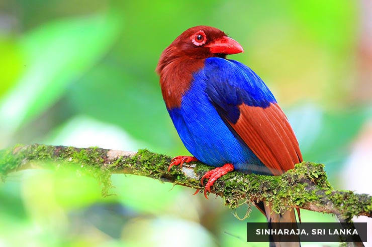 Culture And Heritage